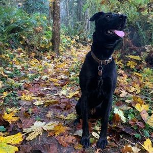 Meet your Posher, Kerie